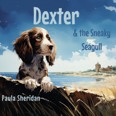 Dexter & the Sneaky Seagull