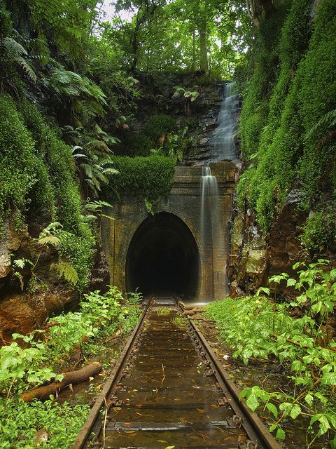 Abandoned Helensburgh Railroad Tunnel Australia Flying Without Wings Book By Paula Wynne