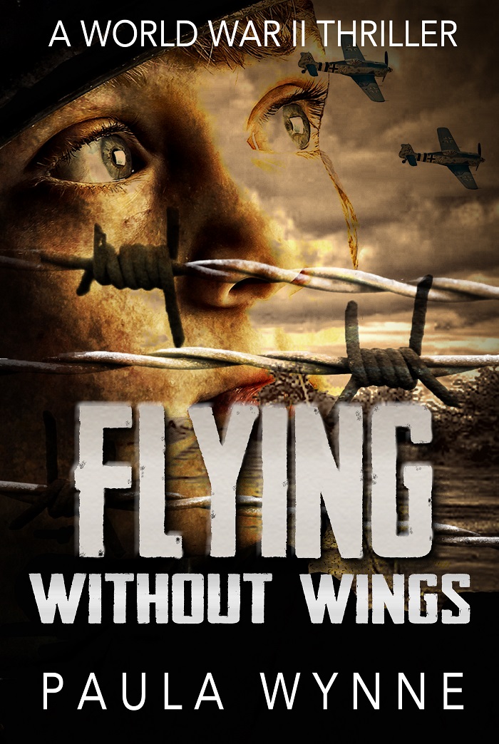 Flying Without Wings On Kindle Book By Paula Wynne