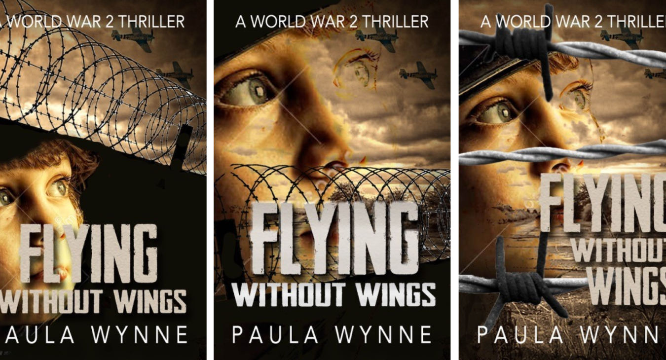 Flying Without Wings Cover Vote Book By Paula Wynne