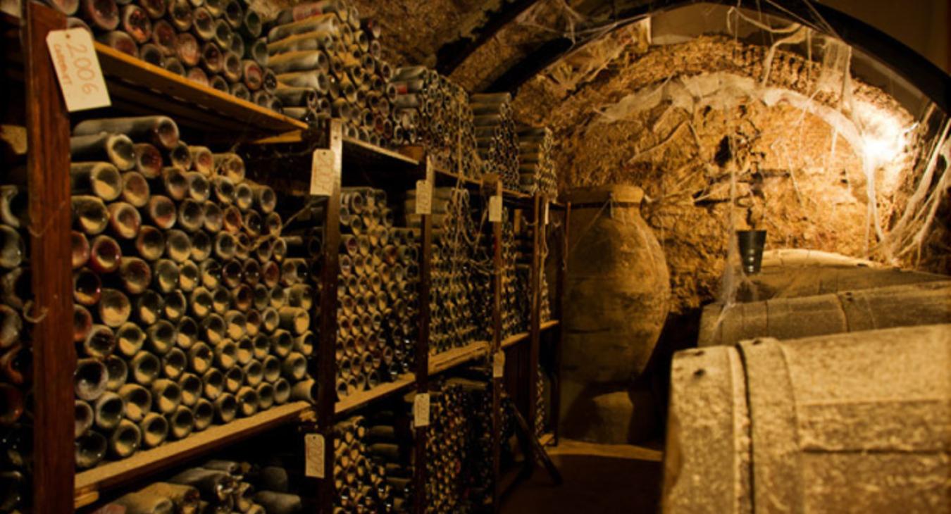 Spooky Wine Cellar In Elixa