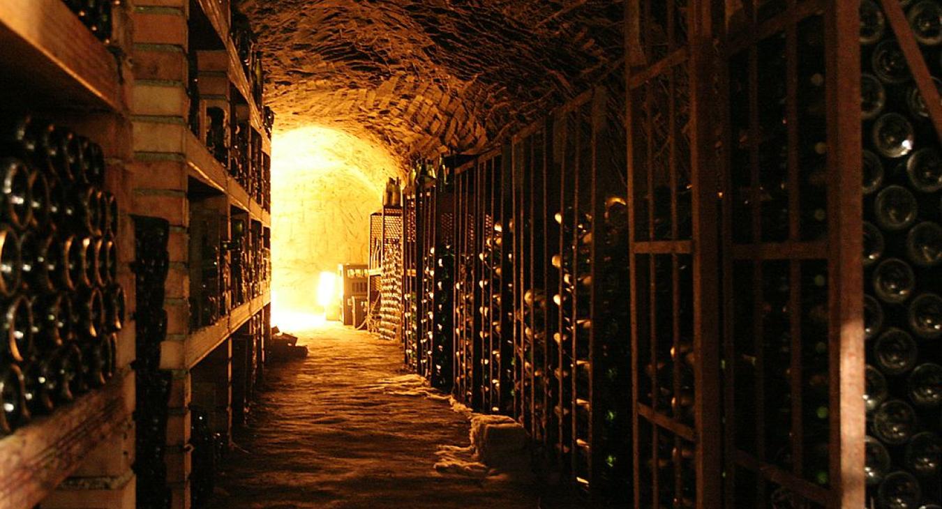 Wine Cellar In Elixa