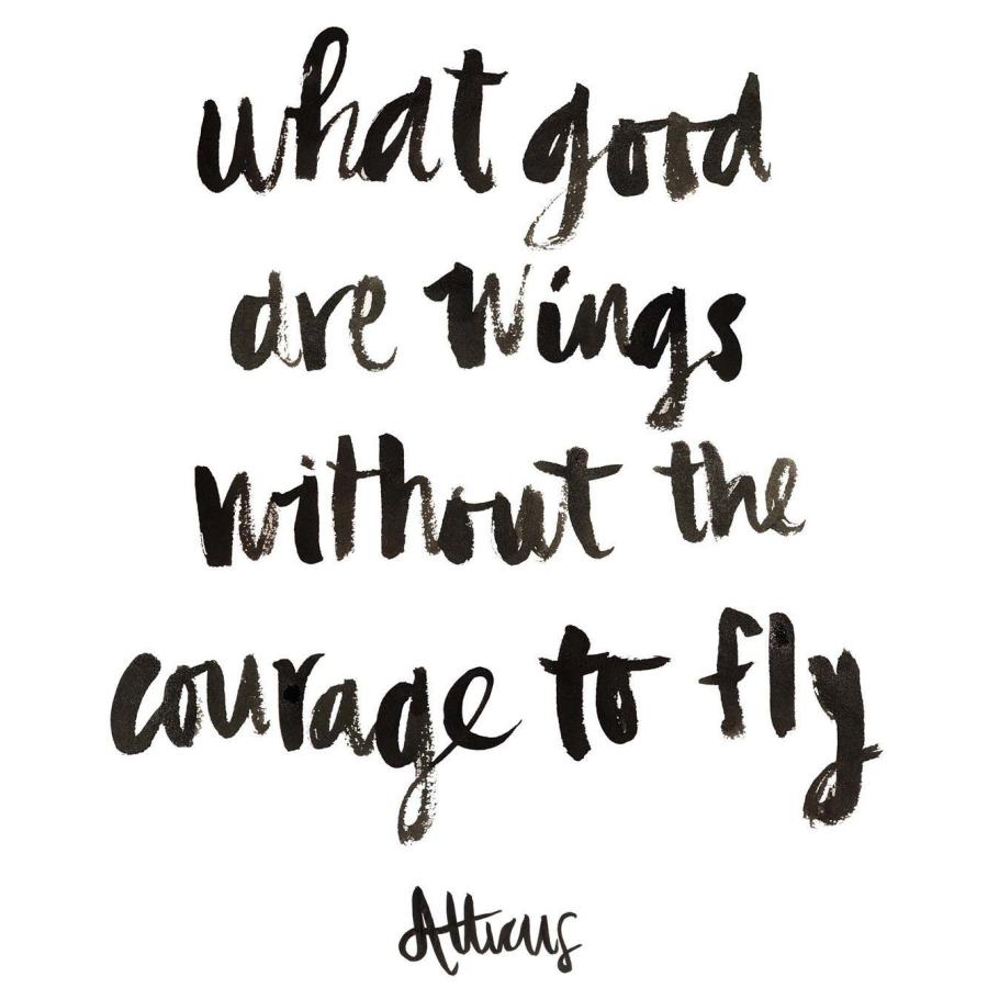 What Good Are Wings Without The Courage To Fly. This quote is by Atticus and it stayed with me for many years while creating the backstory of the two boys in Flying Without Wings. One is in a World War II concentration camp and the other lives near an RAF base forty years after the war. How do these two boys lives link up in the end? And why has it made readers cry?