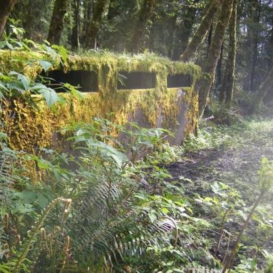 I spotted this image while I was looking for ideas on secret World War II bunkers that the Nazis used to hide their treasures. This is on Tillamook Head in northern Oregon.