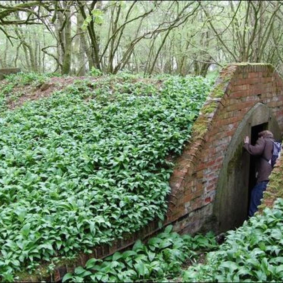 World War II air raid shelter hidden in woodland around Chedworth's disused airfield. I used this idea for inspiration while writing Flying Without Wings. Where is my setting's air raid shelter and what significant role does it play in the story? Find out in Flying Without Wings.