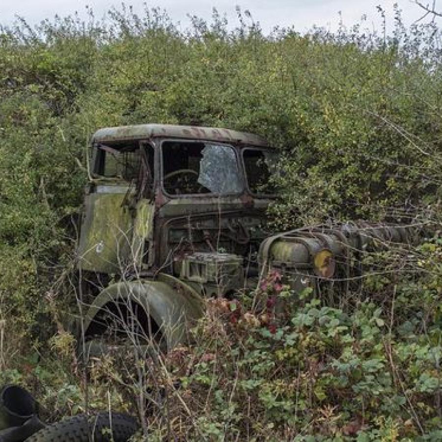 Lost in the undergrowth: This military truck, which could be a Bedford, lies amongst the collection of decommissioned military vehicles, farming machinery and lorries at RAF Folkingham in Lincolnshire.